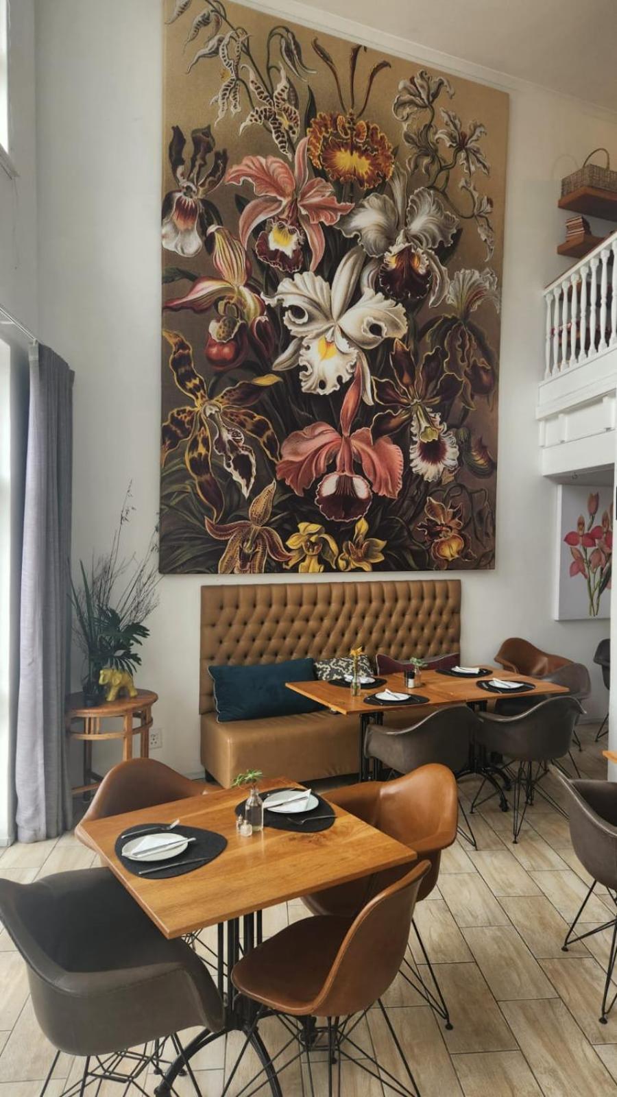 Vida Nova Retreat Hout Bay